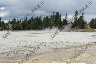 Photo Reference of Background Forest